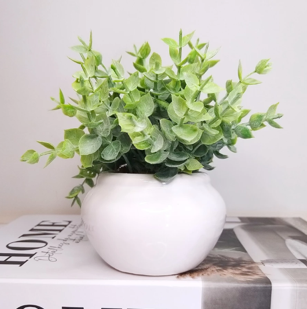 Vaso de Cerâmica Branco com Eucalipto Artificial – foto principal