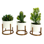 Trio de Vasos com Suporte de Ferro para Suculentas e Cactos