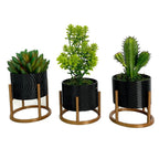 Trio de Vasos com Suporte de Ferro para Suculentas e Cactos – foto 2