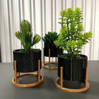 Trio de Vasos com Suporte de Ferro para Suculentas e Cactos – foto 4